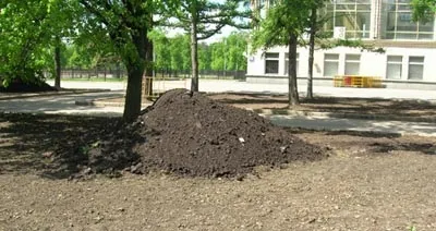 Планувальний грунт і Пескогрунт - відмінності, переваги та сфери застосування (планувальний) Планувальний грунт і Пескогрунт - відмінності, переваги та сфери застосування