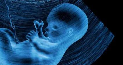 Плануємо ми своє життя ще до народження (народження) Плануємо ми своє життя ще до народження