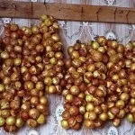 Чому перець називають болгарським (називають) Чому перець називають болгарським