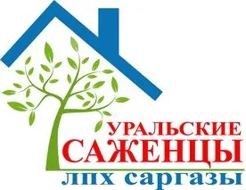 Чому рослини під снігом не замерзають (чому рослини під снігом не замерзають?) Чому рослини під снігом не замерзають