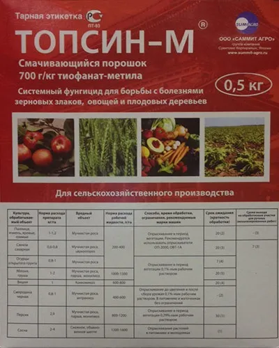 Чому жовтіють і відпадають листя у сливи і як з цим боротися - секрети садівників (чому) Чому жовтіють і відпадають листя у сливи і як з цим боротися - секрети садівників