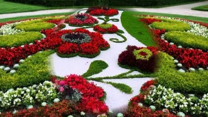 Грунтопокривні багаторічники фото з назвою (багаторічники фото назвою) Грунтопокривні багаторічники фото з назвою