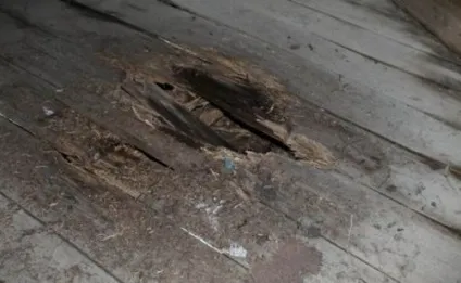 Чому скриплять підлоги в квартирі способи ремонту скрипучих дерев'яних підлог своїми руками (чому скрипіти підлогу квартира спосіб ремонт скрипучий дерев'яна підлога свій рука) Чому скриплять підлоги в квартирі способи ремонту скрипучих дерев'яних підлог своїми руками