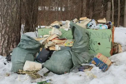 Чому не варто купувати квартиру на 1-му поверсі (поверсі) Чому не варто купувати квартиру на 1-му поверсі