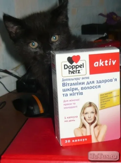 Чому не можна пити вітаміни doppel herz v (не можна) Чому не можна пити вітаміни doppel herz v