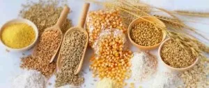 Корисні продукти для людини (корисні) Корисні продукти для людини