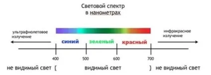 Підсвічування для квітів в квартирі своїми руками відео, фото, поради (своїми руками) Підсвічування для квітів в квартирі своїми руками відео, фото, поради