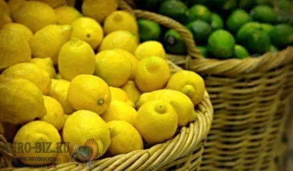 Підживлення лимона в домашніх умовах трав'яними настоями під час цвітіння (домашніх) Підживлення лимона в домашніх умовах трав'яними настоями під час цвітіння