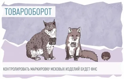 За якими ознаками податкова інспекція визначає, виготовлений бланк документа друкарським способом (документа) За якими ознаками податкова інспекція визначає, виготовлений бланк документа друкарським способом