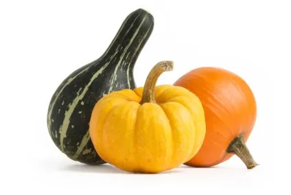 Корисні продукти осені (осені) Корисні продукти осені