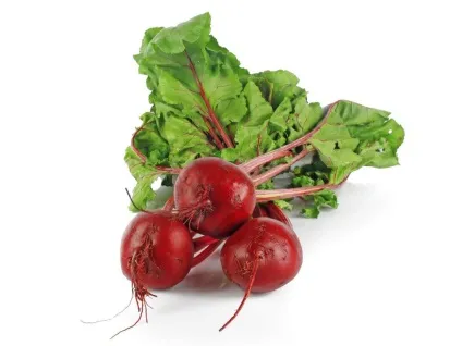 Корисні продукти осені (столова ложка сіль перець) Корисні продукти осені