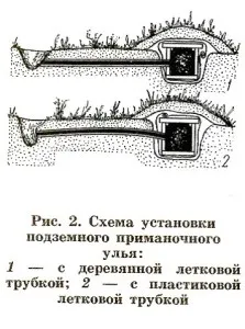 Як розвести джмелів на садовій ділянці, сад і город (джмелів) Як розвести джмелів на садовій ділянці, сад і город