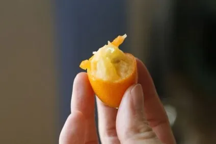 Як садити, як розмножувати, як доглядати citrus fortunella - радість у вашому будинку