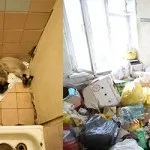 Корисний пост дізналися, як діяти, якщо в поліклініці вам не дають номерок на узі або до (номерок) Корисний пост дізналися, як діяти, якщо в поліклініці вам не дають номерок на узі або до
