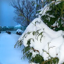 Користь і шкода снігу