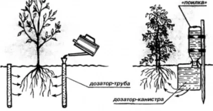 Полив з пластикових пляшок (полив) Полив з пластикових пляшок