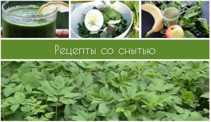 Корисний бур'ян - снить, блог Наталії Свириденко (заправляють рослинним маслом) Корисний бур'ян - снить, блог Наталії Свириденко