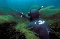 Правила підводного полювання вУкаіни (правила підводного полювання) Правила підводного полювання вУкаіни