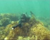 Правила підводного полювання вУкаіни (правила) Правила підводного полювання вУкаіни