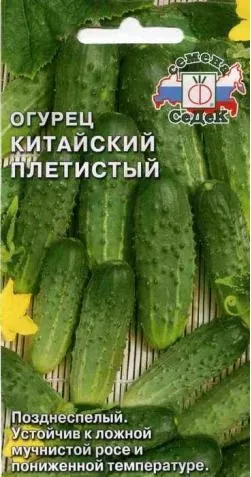 Пізні сорти огірків насіння, опис, фото (купити насіння огірків) Пізні сорти огірків насіння, опис, фото
