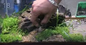 Покрокове створення акваріума