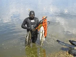 Правила підводного полювання вУкаіни (можна тільки після) Правила підводного полювання вУкаіни