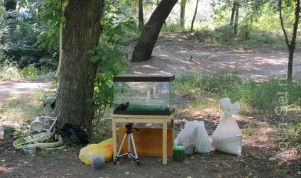 Покрокове створення акваріума
