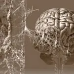 Препарати для лікування хвороби Альцгеймера (Альцгеймера Лікування препарати) Препарати для лікування хвороби Альцгеймера