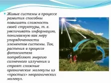 Презентація з інформатики - інформація і інформаційні процеси в неживій і живій природі (живих організмів Живі системи) Презентація з інформатики - інформація і інформаційні процеси в неживій і живій природі
