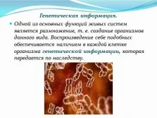 Презентація з інформатики - інформація і інформаційні процеси в неживій і живій природі (інформаційні) Презентація з інформатики - інформація і інформаційні процеси в неживій і живій природі