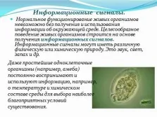 Презентація з інформатики - інформація і інформаційні процеси в неживій і живій природі (живих організмів Живі системи) Презентація з інформатики - інформація і інформаційні процеси в неживій і живій природі