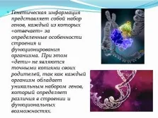 Презентація з інформатики - інформація і інформаційні процеси в неживій і живій природі (живий) Презентація з інформатики - інформація і інформаційні процеси в неживій і живій природі