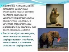 Презентація з інформатики - інформація і інформаційні процеси в неживій і живій природі (живих організмів Живі) Презентація з інформатики - інформація і інформаційні процеси в неживій і живій природі
