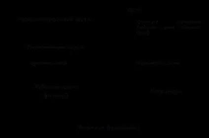 Предмет і завдання фізіології, її зв'язки з іншими дисциплінами (дисциплінами) Предмет і завдання фізіології, її зв'язки з іншими дисциплінами