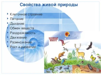 Презентація до уроку