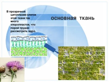 Презентація до уроку