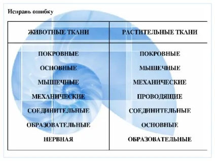 Презентація до уроку
