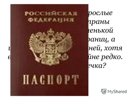 Презентація на тему чому злякавшись коня починають фиркати цьому вона очищає свій ніс і, (злякавшись) Презентація на тему чому злякавшись коня починають фиркати цьому вона очищає свій ніс і,