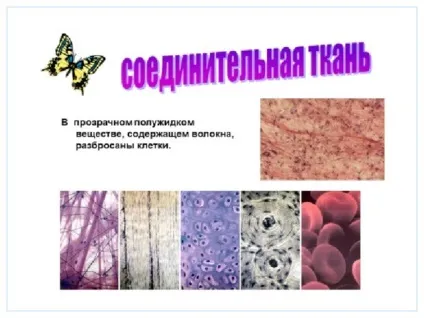 Презентація до уроку