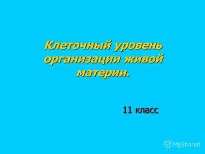 Презентація на тему клітинний рівень життя 1 (рівень) Презентація на тему клітинний рівень життя 1
