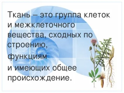Презентація до уроку