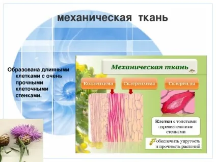 Презентація до уроку