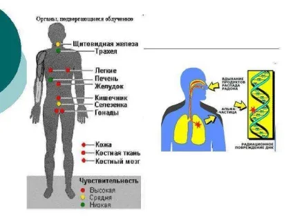 Презентація по темі що за знаки перед нами (знаки) Презентація по темі що за знаки перед нами