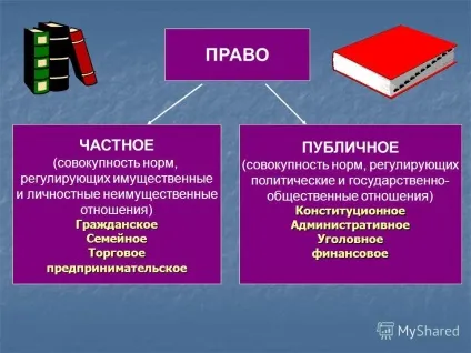 Презентація на тему що таке приватна особа реальний - природний - людина (індивід), автономний