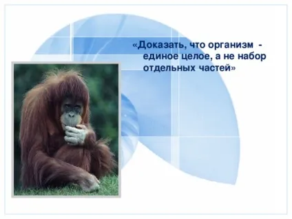 Презентація до уроку