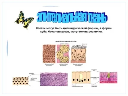 Презентація до уроку