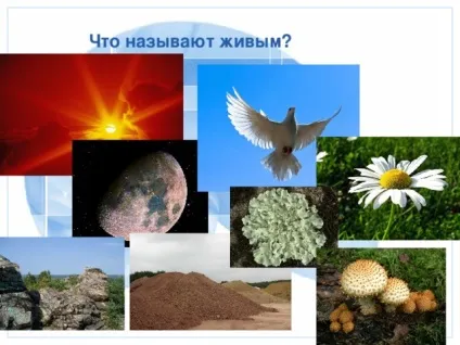Презентація до уроку