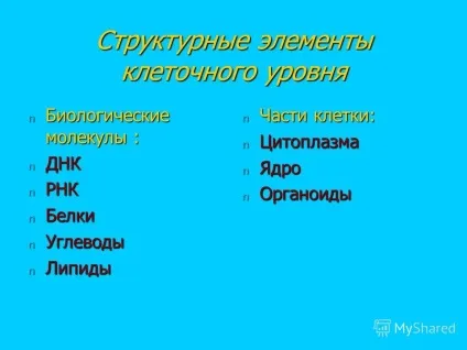 Презентація на тему клітинний рівень життя 1 (рівень) Презентація на тему клітинний рівень життя 1