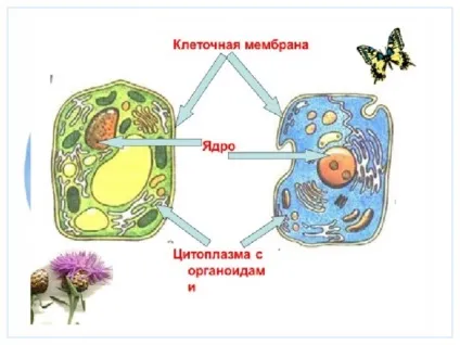 Презентація до уроку