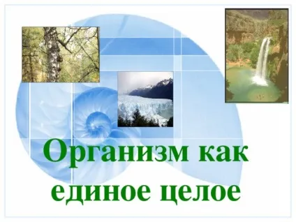 Презентація до уроку